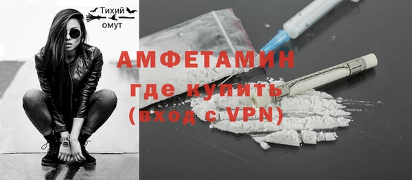 шишки Баксан