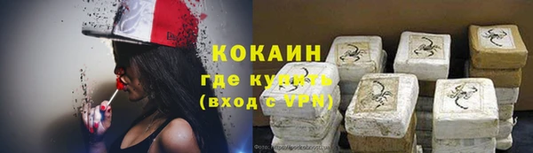 гидра Рославль
