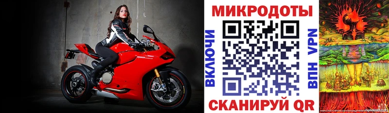 закладка  Невель  Галлюциногенные грибы мицелий 